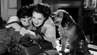 The Women still 2
