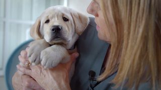 Pick of the Litter still 2