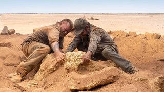 Gold still 7