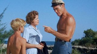 Flipper still 5
