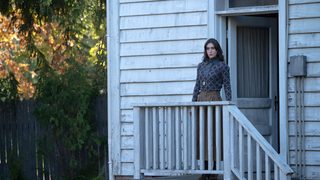 Cobweb still 7