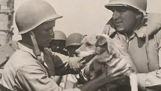 Guadalcanal Diary still 3