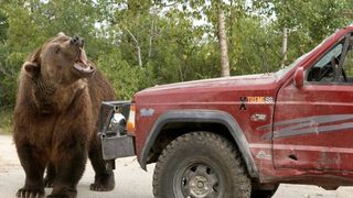 Grizzly Rage still 3