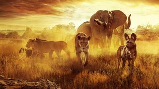 Surviving Paradise: A Family Tale still 3