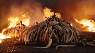 Anthropocene: The Human Epoch still 7