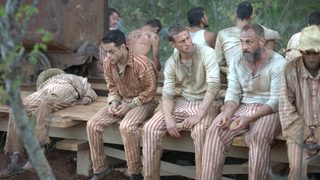Papillon still 1