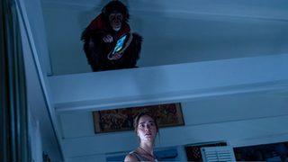 Primate still 5