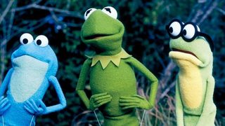 Kermit's Swamp Years still 3