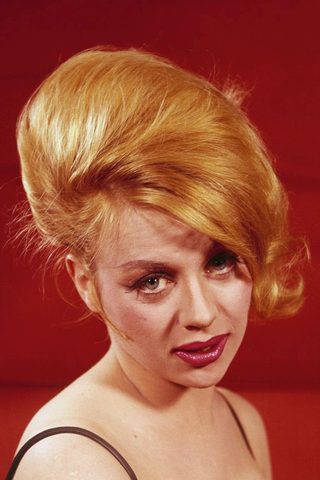 Judy Gringer, photo 1 of 3