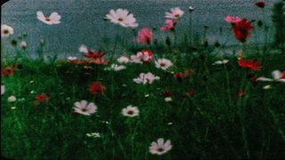 Reminiscences of a Journey to Lithuania still 6