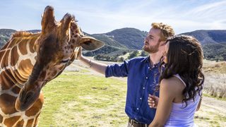 Harry & Meghan: A Royal Romance still 4