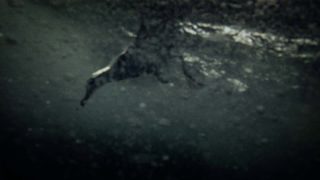 Leviathan still 7