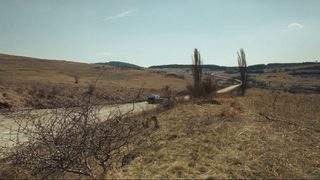 It's Alive still 2