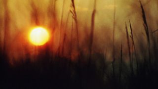 Sun Don't Shine still 4