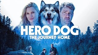 Hero Dog: The Journey Home still 4