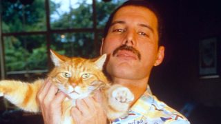 Freddie Mercury: The Great Pretender still 2