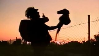 Rollergator still 1