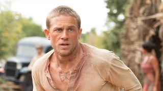 Papillon still 4