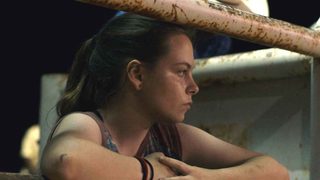 Bull still 4