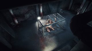 Pet still 4