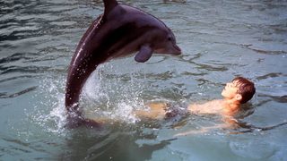 Flipper's New Adventure still 1