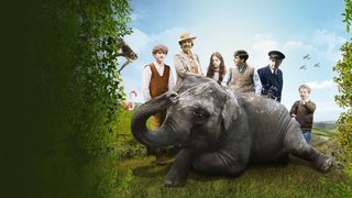 Zoo still 3