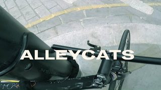 Alleycats still 2