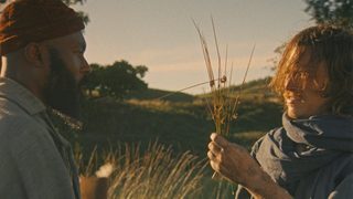 Harvest still 6