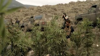 Afghan Luke still 4
