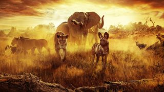 Surviving Paradise: A Family Tale still 4
