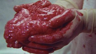 Brain of Blood still 2