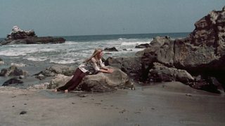 Pets still 6