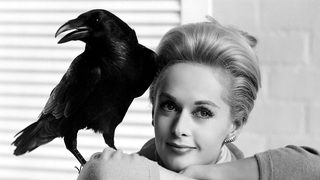 The Birds still 5