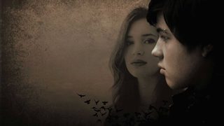 Blackbird still 4