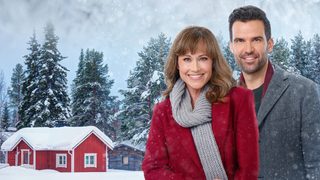 Cranberry Christmas still 3
