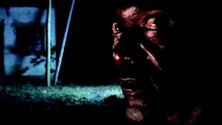 Darwin's Nightmare still 4
