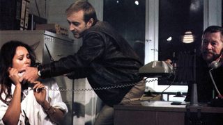 Wild Geese II still 7