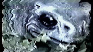 Frogman still 1