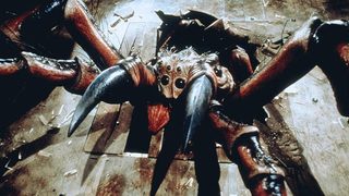 Spiders still 2