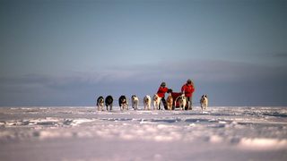 Top Gear: Polar Special still 4