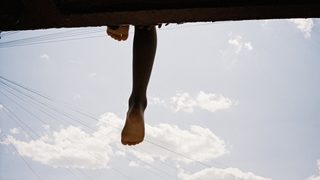 Bird still 3