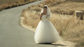 Committed still 3