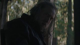 Pig still 5