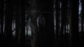 Bambi: The Reckoning still 3