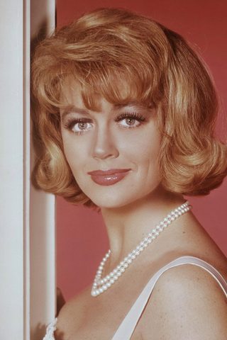 Dorothy Malone, photo 3 of 3