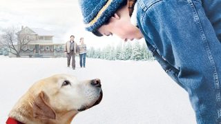 A Dog Named Christmas still 3