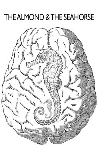 The Almond and the Seahorse still 1