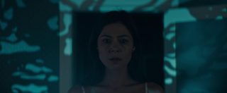 Stray still 8