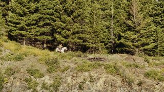 Cowboys still 5