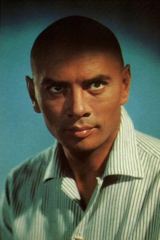 Yul Brynner, photo 3 of 3